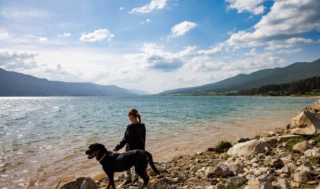 Location gites au Lac de Vassivière entre Eymoutiers Peyrat le Château et Royère de Vassvière 