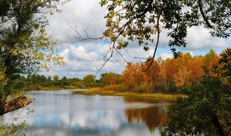 Location de gites en pleine nature en Nouvelle Aquitaine dans la Creuse 