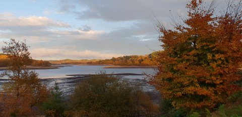 C'est encore l'automne au #lac de vassivière en #limousin