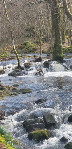 Ressourcez-vous au Lac de Vassivière près de Royère-de-Vassivière