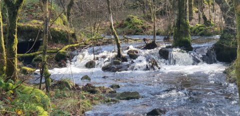 Venez écouter le bruit de l'eau au Lac de Vassivière près de Royère-de-Vassivière