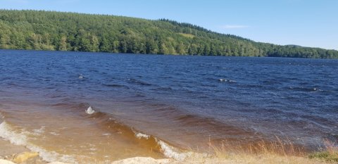 Promenade et baignade au lac de Vassiviere - Juste quelques pas à faire à partir d'un  de nos 5 gites pour capacités 6, 8 ou 12 personnes