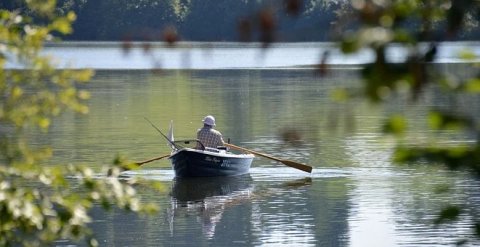 Pêche aux carnassiers, vous aimez ? Location de gites avec possibilités de mettre le bateau à l'eau et terrain ou garage pour protéger le matériel.