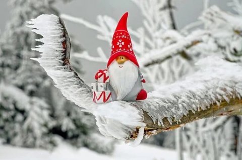 Vacances de Noël dans un site dépaysant au lac de vassivière