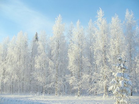 Location d'un gîte familial pour les fêtes de Noël au bord du lac à Royère-de-Vassivière